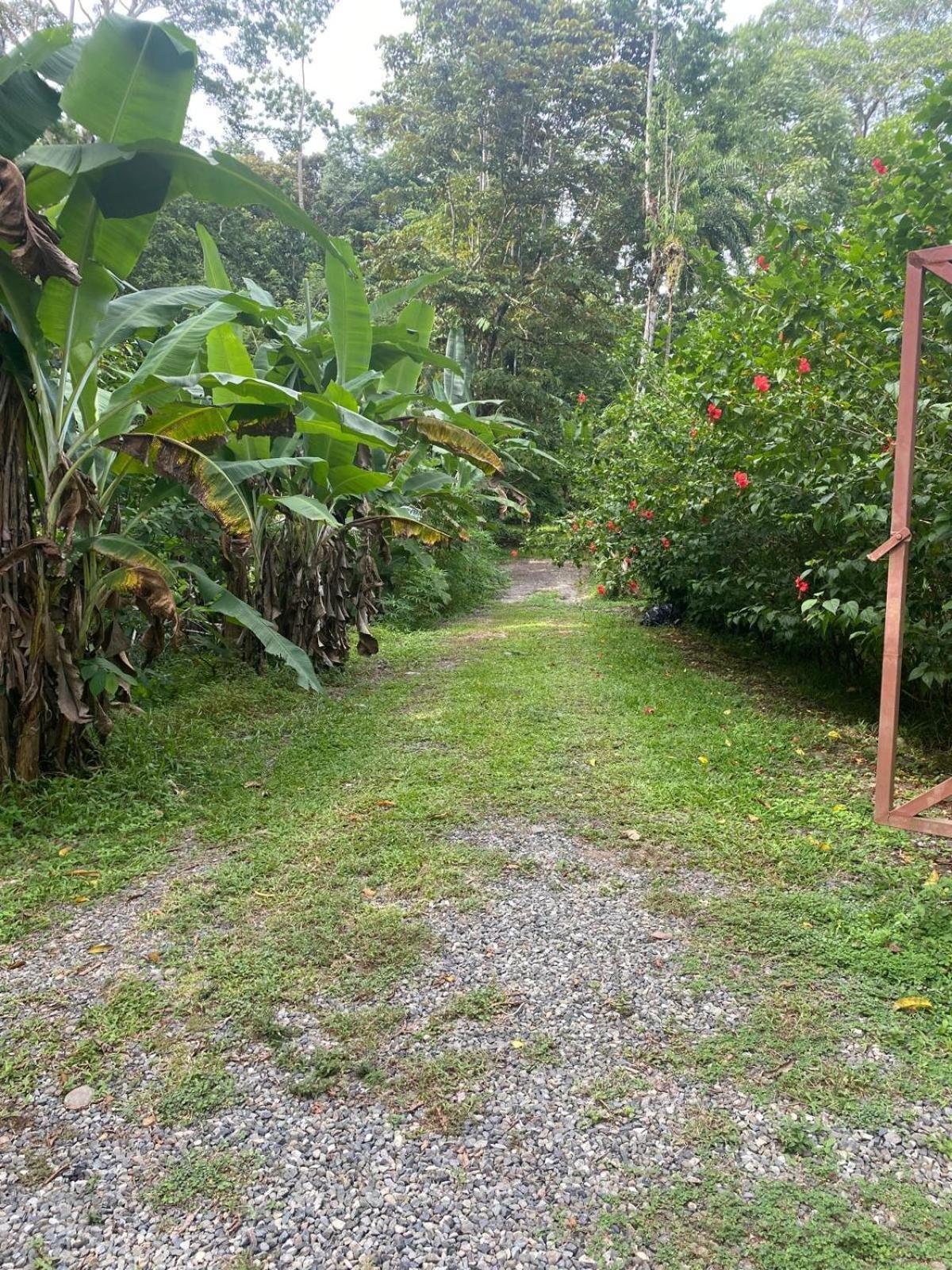 Caribbean Retreats Cocles Exterior foto