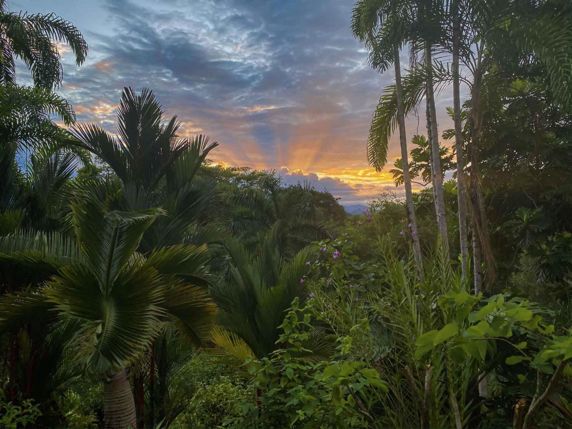 Caribbean Retreats Cocles Exterior foto
